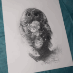 illustration d'un bébé transporté par une chouette par Jean-Baptiste Monge ©™ all right reserved